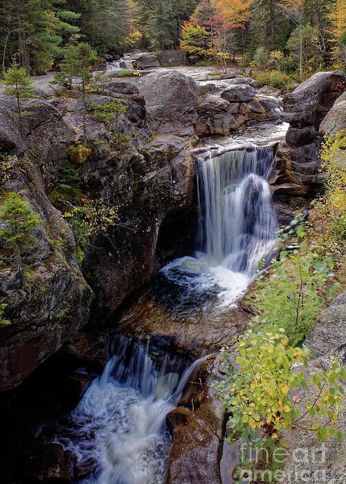 Waterfall Greeting Card featuring the photograph Screw Auger Falls, Maine, USA by Kevin Shields