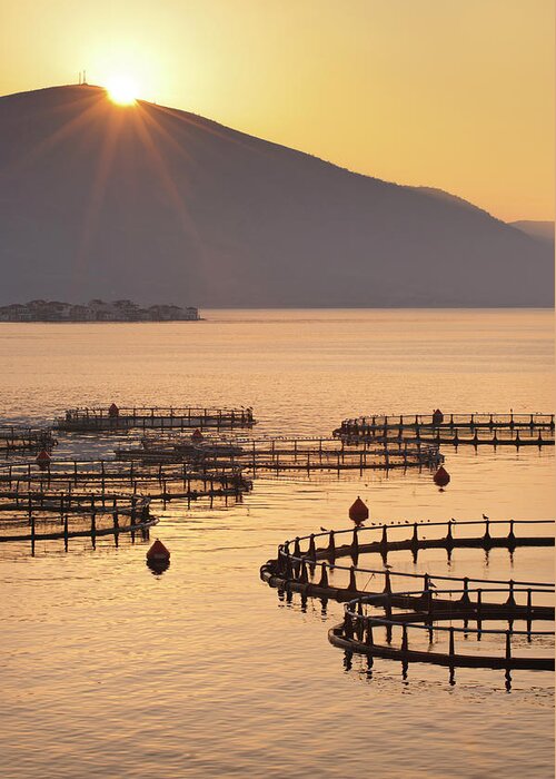 Scenics Greeting Card featuring the photograph Sea Fish Farm At Sunrise In Greece by Howardoates