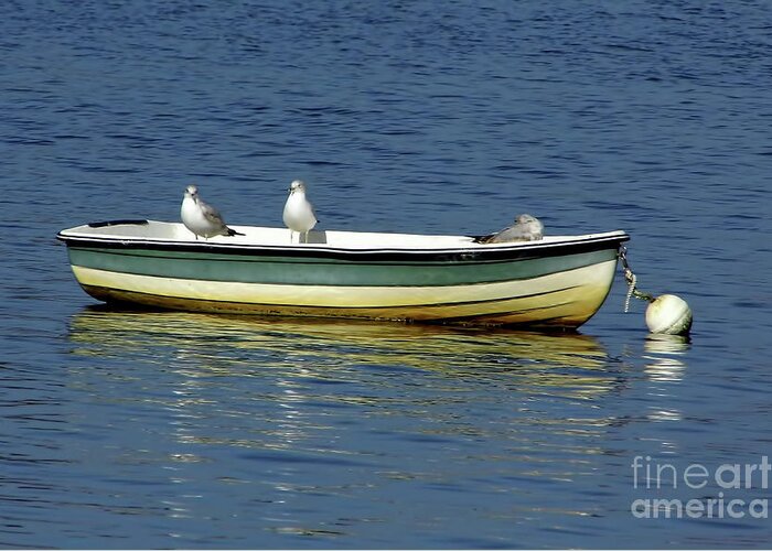 Boats Greeting Card featuring the photograph Sea Gull Boat by D Hackett