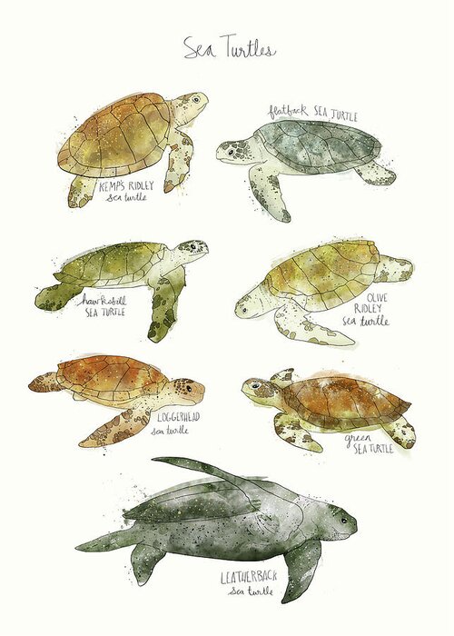 Sea Greeting Card featuring the mixed media Sea Turtles by Amy Hamilton