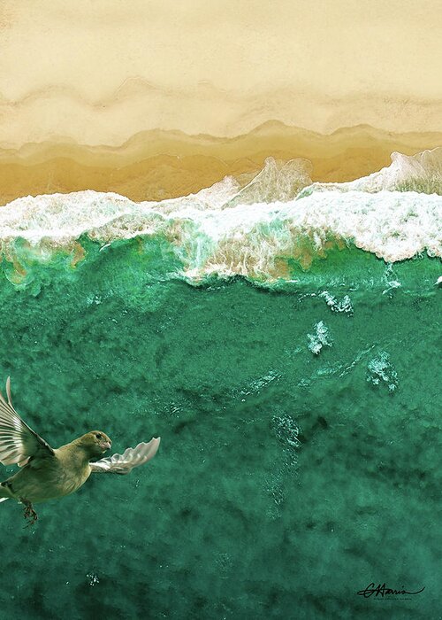 Seashore Greeting Card featuring the digital art A Drone's Eye View by Cindy Collier Harris