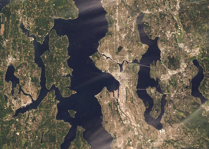 Satellite Image Greeting Card featuring the digital art Seattle from space by Christian Pauschert