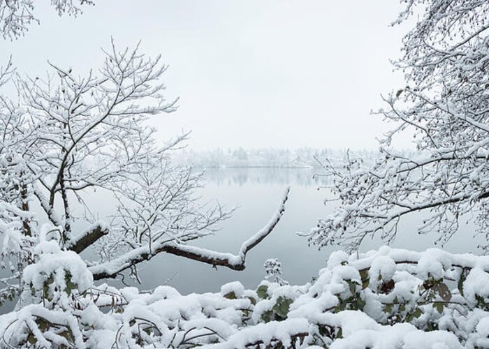 Seattle Photogrphy Greeting Card featuring the photograph Seattle Green Lake Snow by William Dunigan