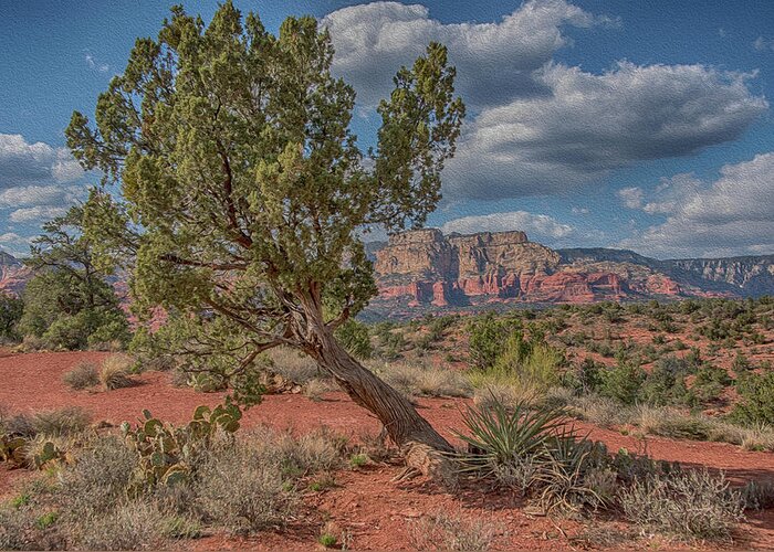 Sedona Greeting Card featuring the photograph Sedona red rock and tree by Alan Goldberg