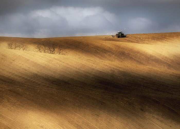 Moravia Greeting Card featuring the photograph Seeding Time by Piotr Krol (bax)