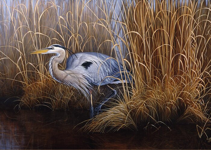 A Blue Heron Stands Alongside Tall Grass Greeting Card featuring the painting Set In Gold - Great Blue Heron by Wilhelm Goebel