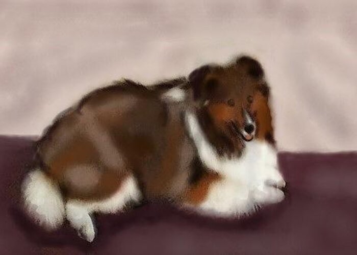 Sheltie Greeting Card featuring the digital art Sheltie at Rest by Angela Davies