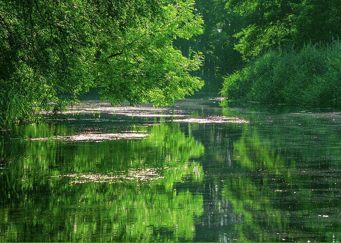 Spreewald Greeting Card featuring the photograph Silent water on a summer evening by Sun Travels