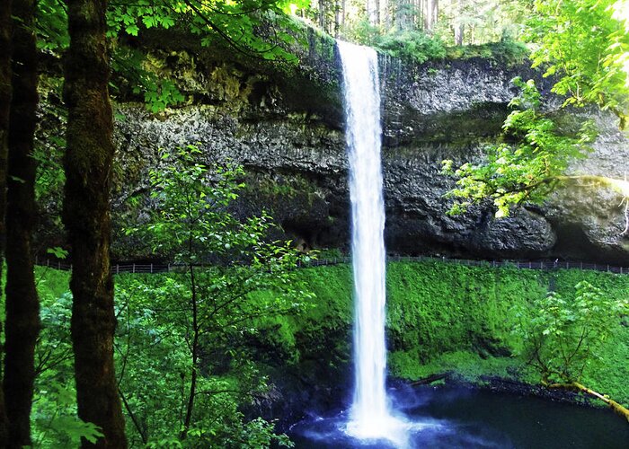 Waterfall Greeting Card featuring the photograph Silver Falls Waterfall 2 by Melinda Firestone-White