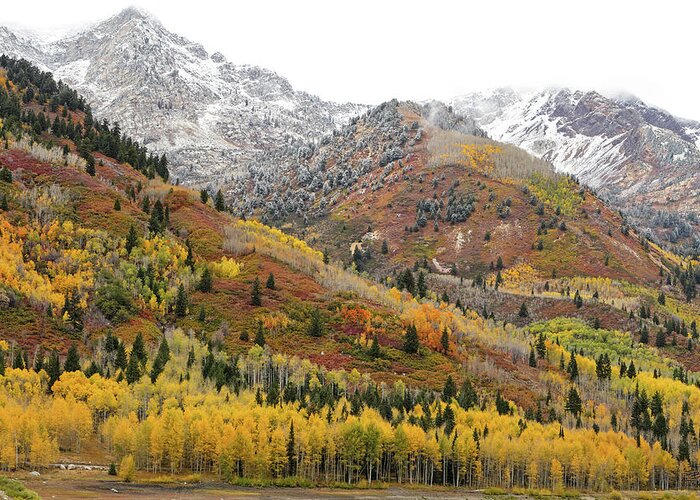 Utah Greeting Card featuring the photograph Silver Lake Flat with Fall Colors - American Fork Canyon, Utah by Brett Pelletier
