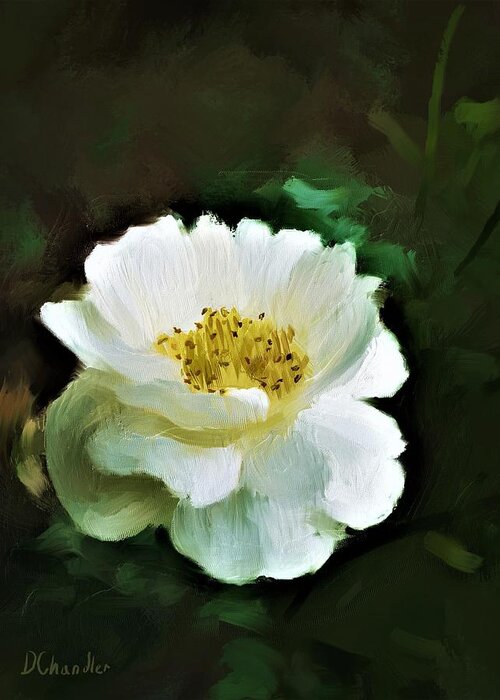 Rose Greeting Card featuring the digital art Simple Beauty by Diane Chandler