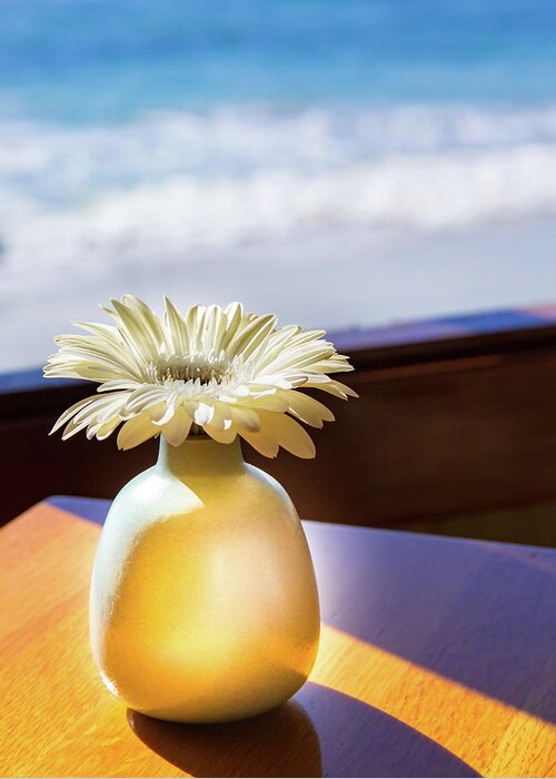 Flower Photography Greeting Card featuring the photograph The Flower Song by Terry Walsh