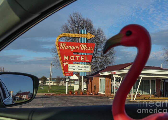 Munger Moss Motel Greeting Card featuring the photograph Sippi at Munger Moss Motel on Route 66 by Garry McMichael