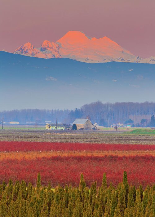 Skagit Valley Greeting Card featuring the photograph Skagit Sunset by Briand Sanderson