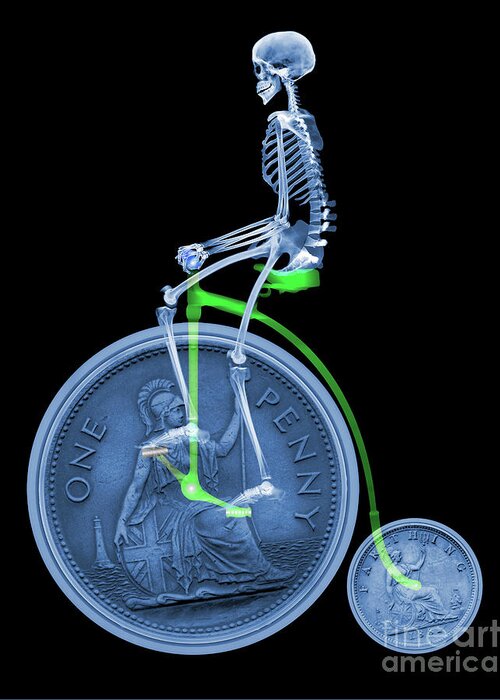 Illustration Greeting Card featuring the photograph Skeleton On A Penny Farthing by D. Roberts/science Photo Library