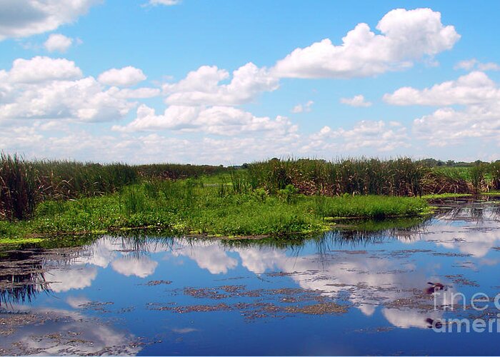Beautiful Greeting Card featuring the photograph Skyscape Reflections Blue Cypress Marsh near Vero Beach Florida C6 by Ricardos Creations