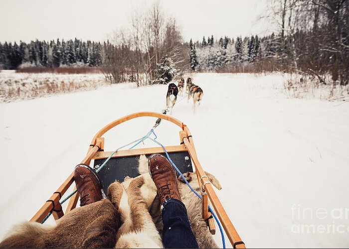 Sleigh Greeting Card featuring the photograph Sled Dogs Pulling A Sled by Andrey Bayda