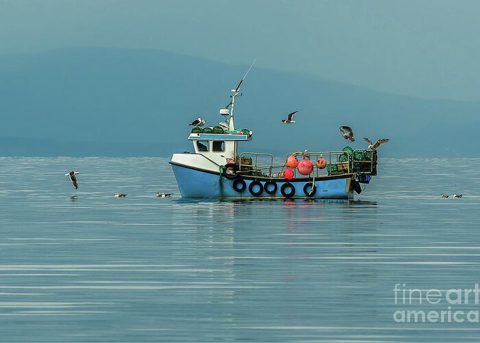 Animal Greeting Card featuring the photograph Small Fishing Boat With Lobster Pods And Seagulls On Calm Atlantic In Front Of The Hebride Islands by Andreas Berthold