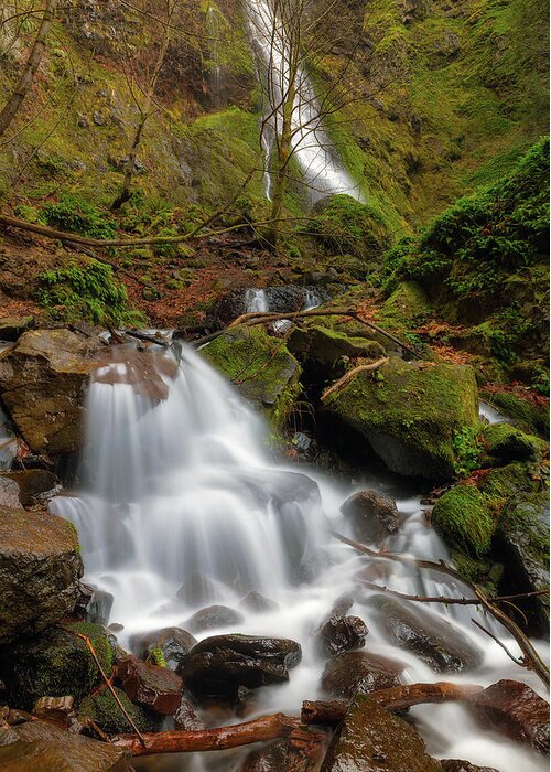 Starvation Greeting Card featuring the photograph Small Waterfall by Starvation Creek Falls by David Gn