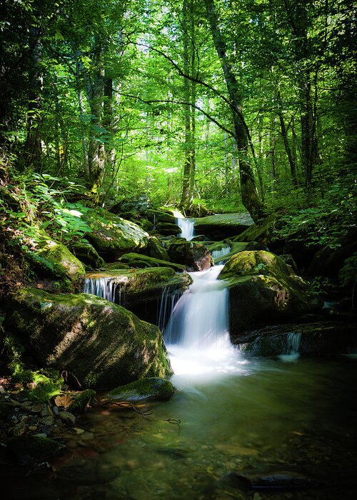 Smokey Mountains Greeting Card featuring the photograph Smokey Mountain Tranquility by Randall Allen