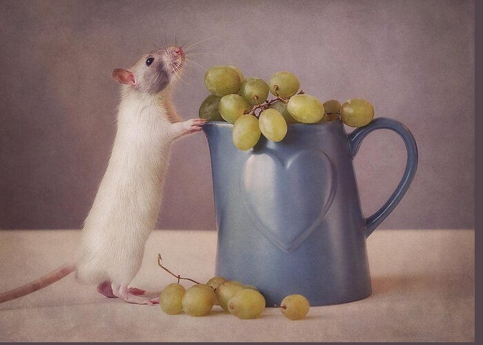Mug Greeting Card featuring the photograph Snoozy Loves Grapes by Ellen Van Deelen