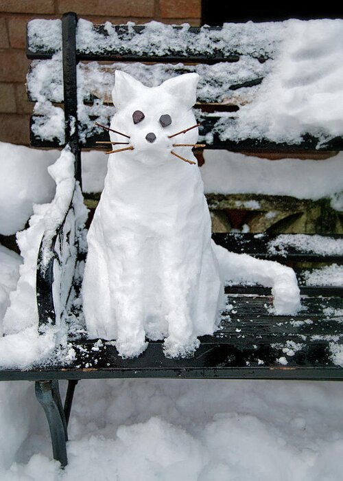 Snow Greeting Card featuring the photograph Snow Cat by Michelle Mcmahon