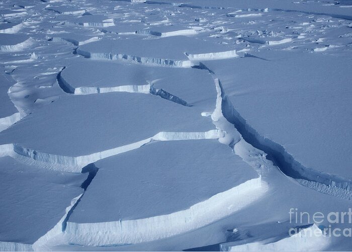 Antarctic Greeting Card featuring the photograph Snow Crevasses by British Antarctic Survey/science Photo Library