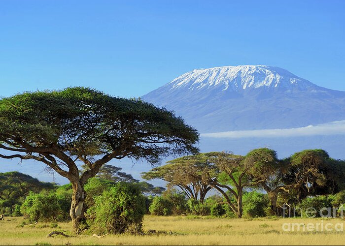 Beauty Greeting Card featuring the photograph Snow On Top Of Mount Kilimanjaro by Volodymyr Burdiak