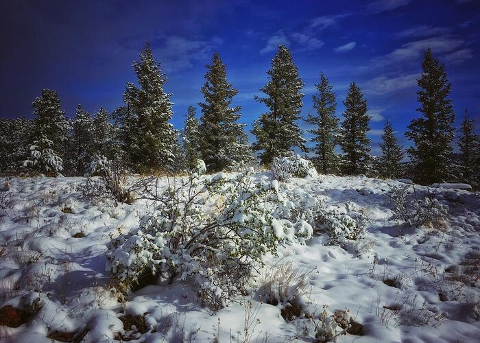 Snow Greeting Card featuring the photograph Snowy Ridgeline by Dan Miller
