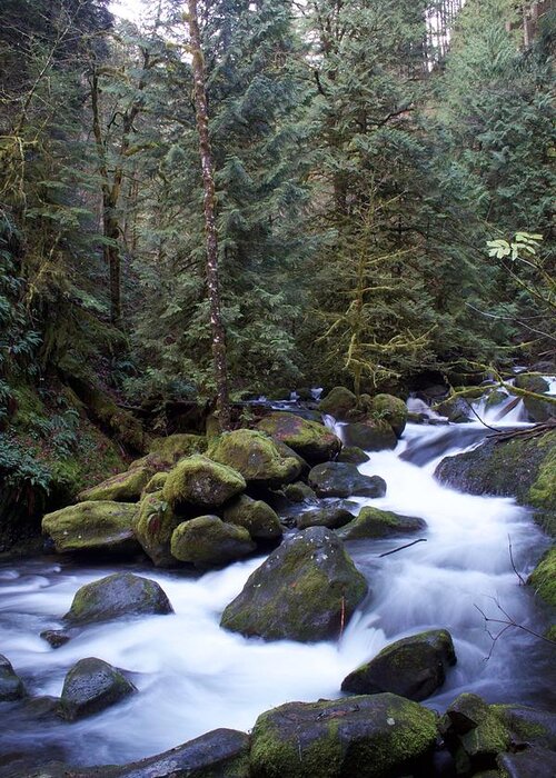 Soft Multnomah Flow Greeting Card featuring the photograph Soft Multnomah Flow by Dylan Punke