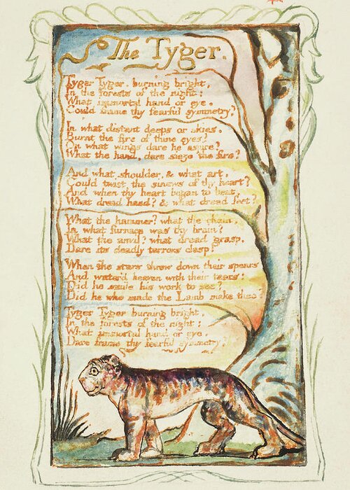 Relief Etching Printed In Orange-brown Ink And Hand-colored With Watercolor And Gold Greeting Card featuring the painting Songs of Innocence and of Experience The Tyger. by William Blake