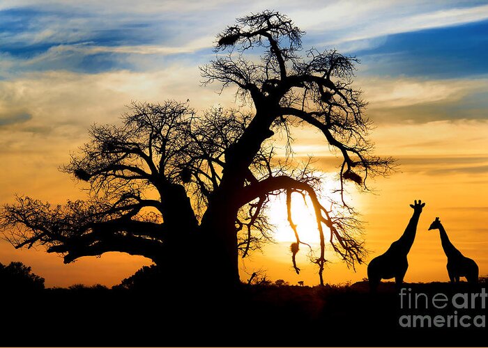 Big Greeting Card featuring the photograph Spectacular Sunset With Baobab by Sw stock
