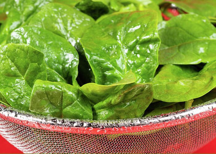 Spinach Greeting Card featuring the photograph Spinach Colander Panorama by Steve Gadomski