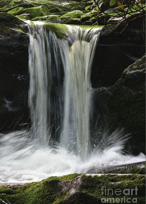 Waterfall Greeting Card featuring the photograph Splashing Waterfall by Phil Perkins