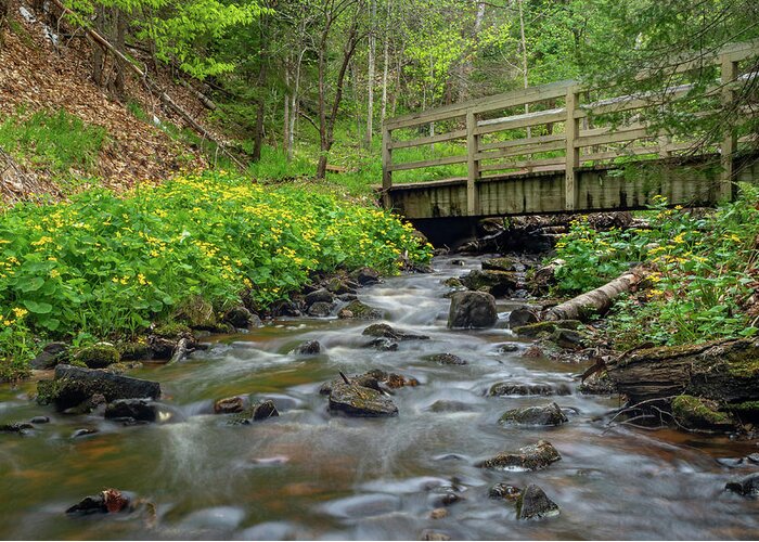 Footsore Fotography Greeting Card featuring the photograph Spring at Munising Creek by Gary McCormick