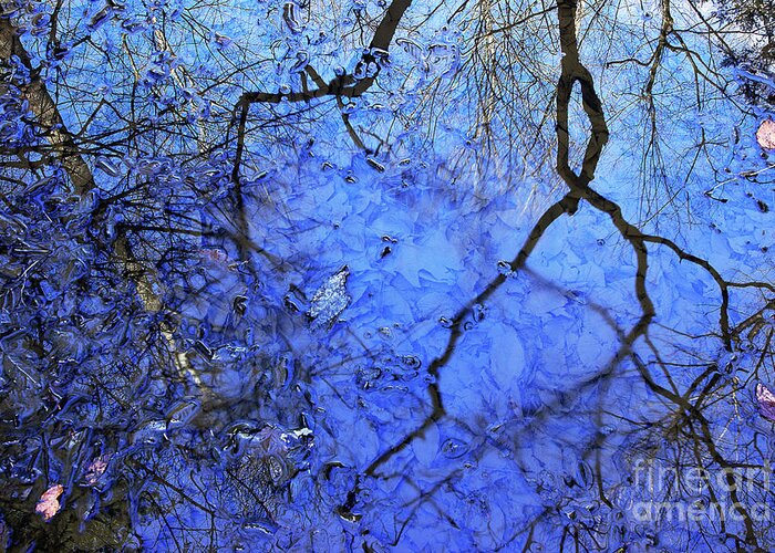 Water Greeting Card featuring the photograph Spring Puddle Abstract by Mike Eingle