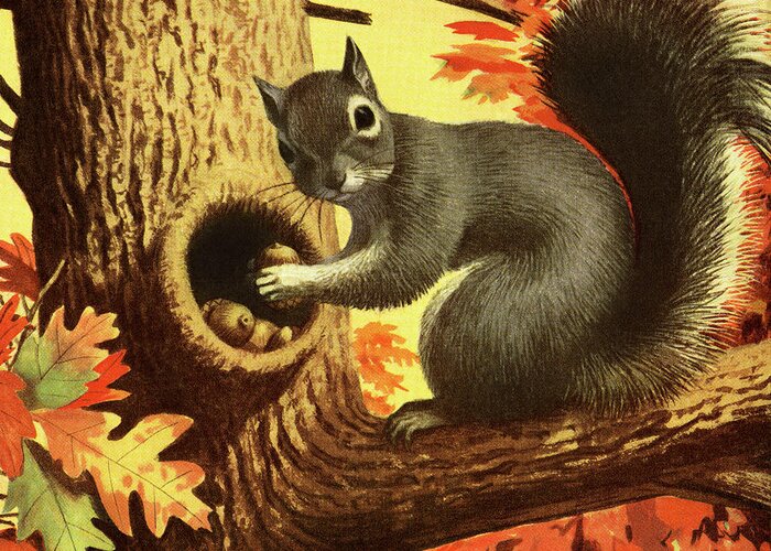 Acorn Greeting Card featuring the drawing Squirrel Storing Nuts by CSA Images