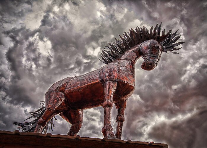 Santa Fe Greeting Card featuring the photograph Stallion In The Storm by Joe Ownbey