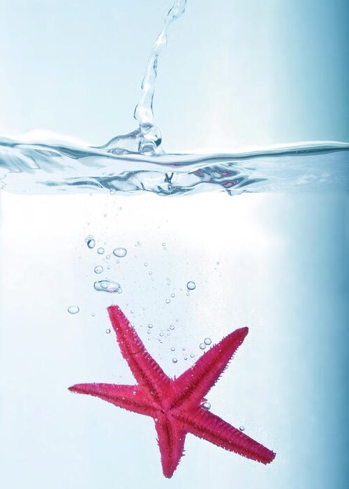 Underwater Greeting Card featuring the photograph Starfish In Water by Fotografias De Rodolfo Velasco
