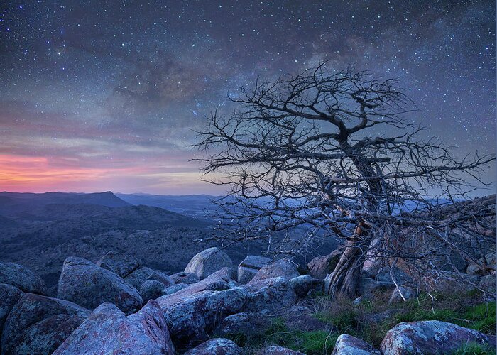 00559646 Greeting Card featuring the photograph Stars Over Pine, Mount Scott by Tim Fitzharris