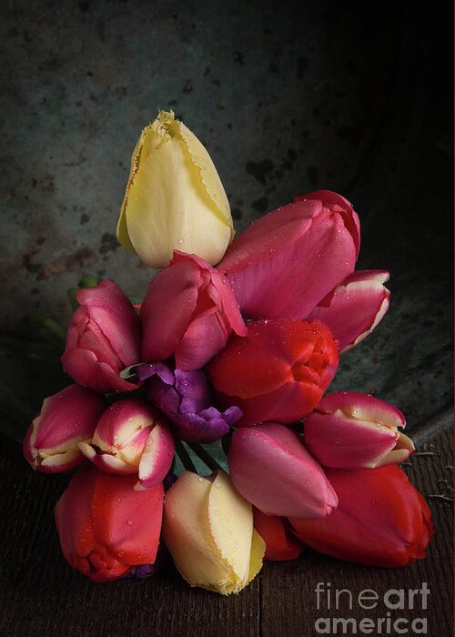 Blossoms Greeting Card featuring the photograph Still Life With Tulips 35 by Edward Fielding