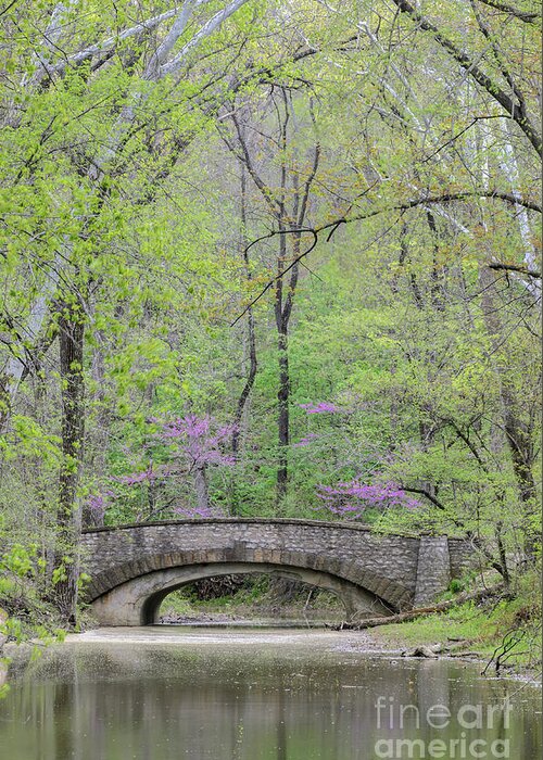 Stone Bridge Greeting Card featuring the photograph Stone Bridge In Spring by Tamara Becker