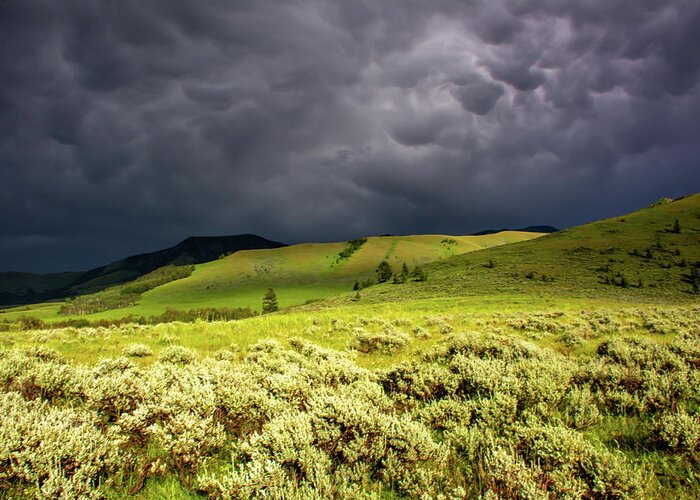 Storm Greeting Card featuring the photograph Storm over Tom Miner Basin by Douglas Wielfaert