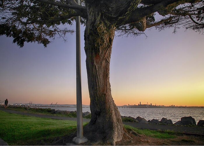 Emeryville Greeting Card featuring the photograph Summer Sunset Stroll by Laurie Search