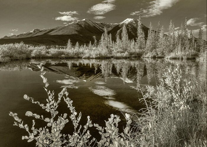Disk1215 Greeting Card featuring the photograph Sundance Range And Vermilion Lakes by Tim Fitzharris
