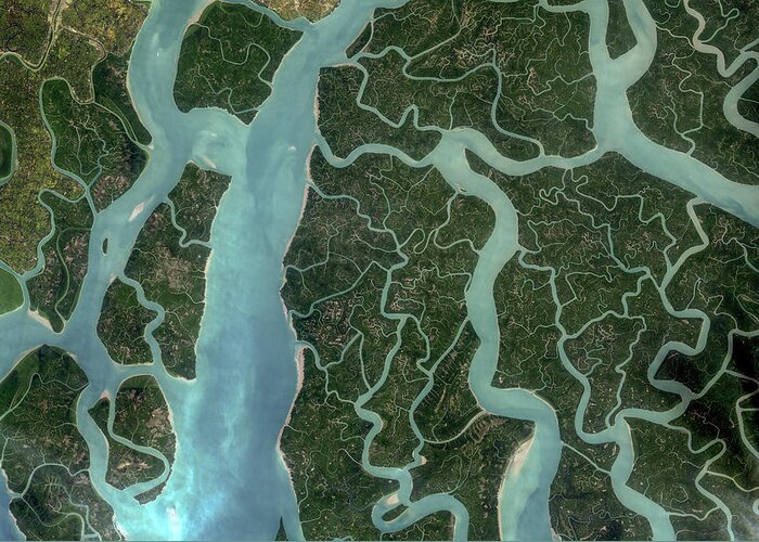Satellite Image Greeting Card featuring the digital art Sundarbans mangroves from space by Christian Pauschert
