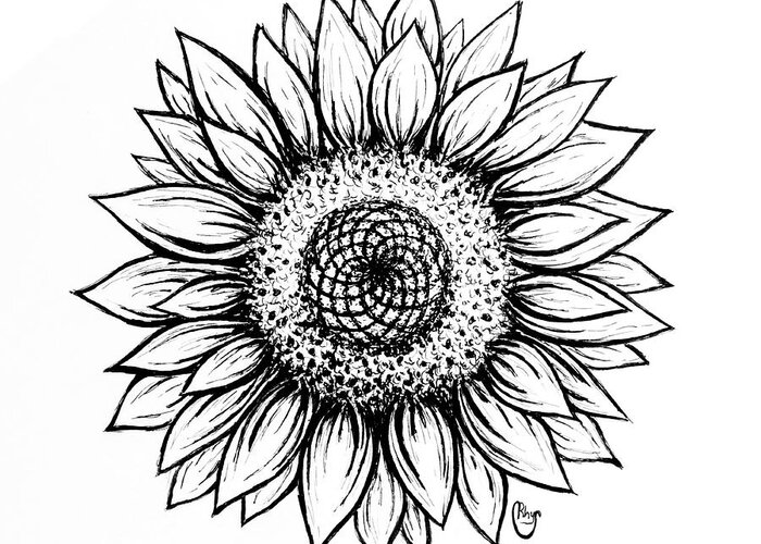 Pen And Ink Greeting Card featuring the drawing Sunflower by Bari Rhys