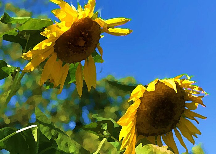 Sunflowers Greeting Card featuring the photograph Sunflower Vox by Tom Johnson