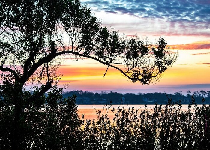 River Greeting Card featuring the photograph Sunrise on the Halifax River by Mary Ann Artz