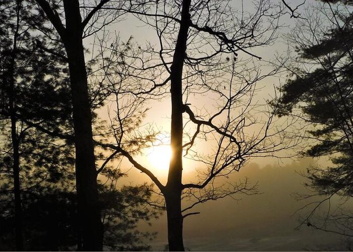 Sunrise Through Fog Greeting Card featuring the photograph - Sunrise through Fog by THERESA Nye